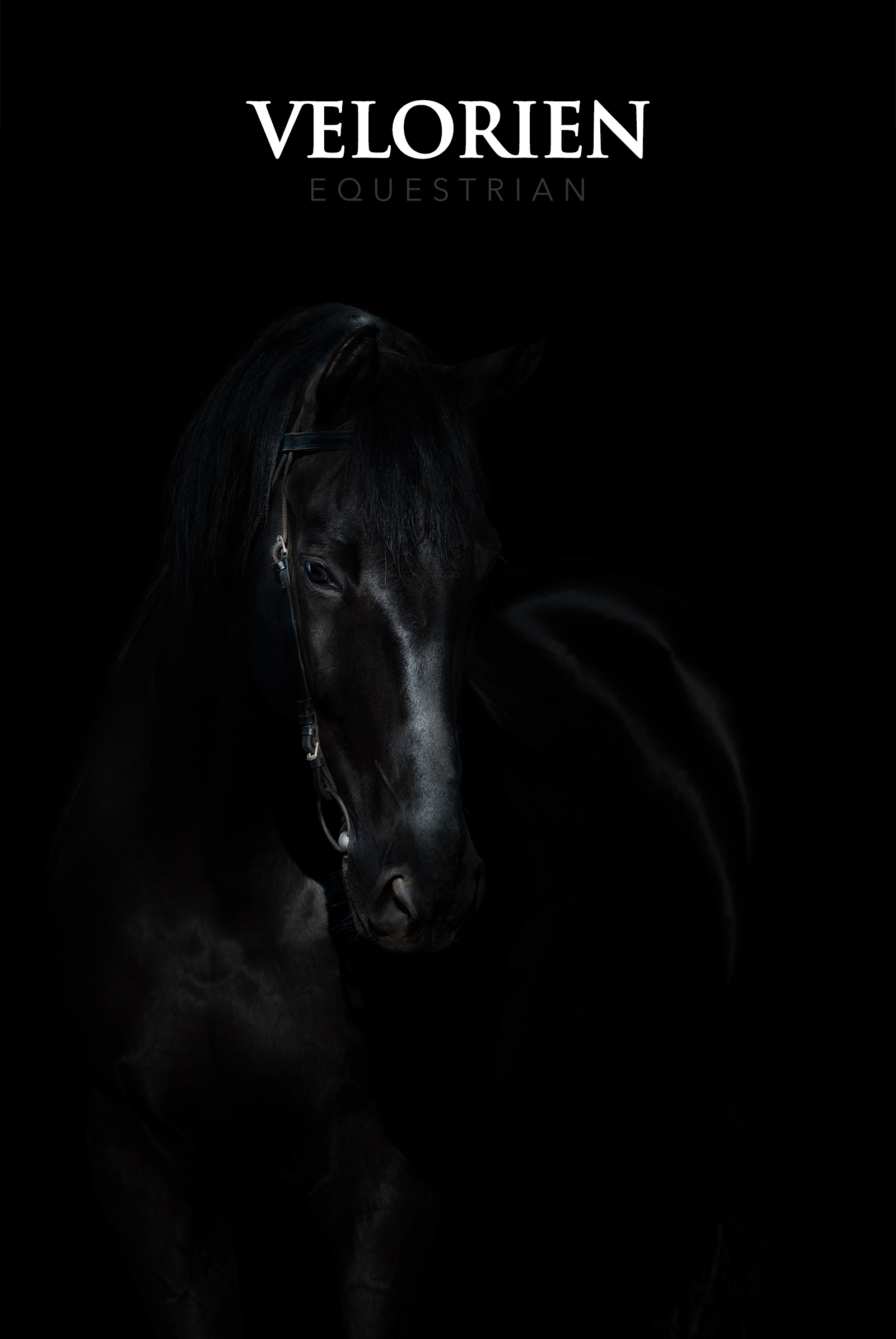 VELORIEN Equestrian